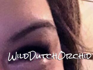 WildDutchOrchid