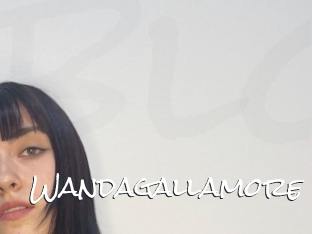 Wandagallamore