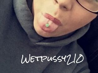 Wetpussy210