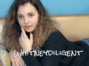 Whitneydiligent