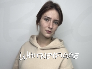 Whitneyfigge