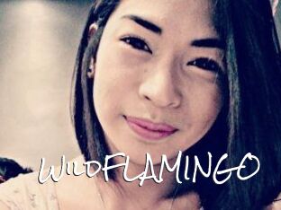 WildFLAMINGO