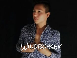 Wildboysex