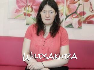 Wildsakura