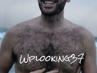 Wplooking37