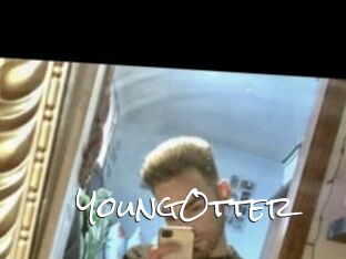 YoungOtter