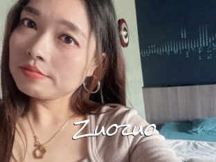 Zuozuo